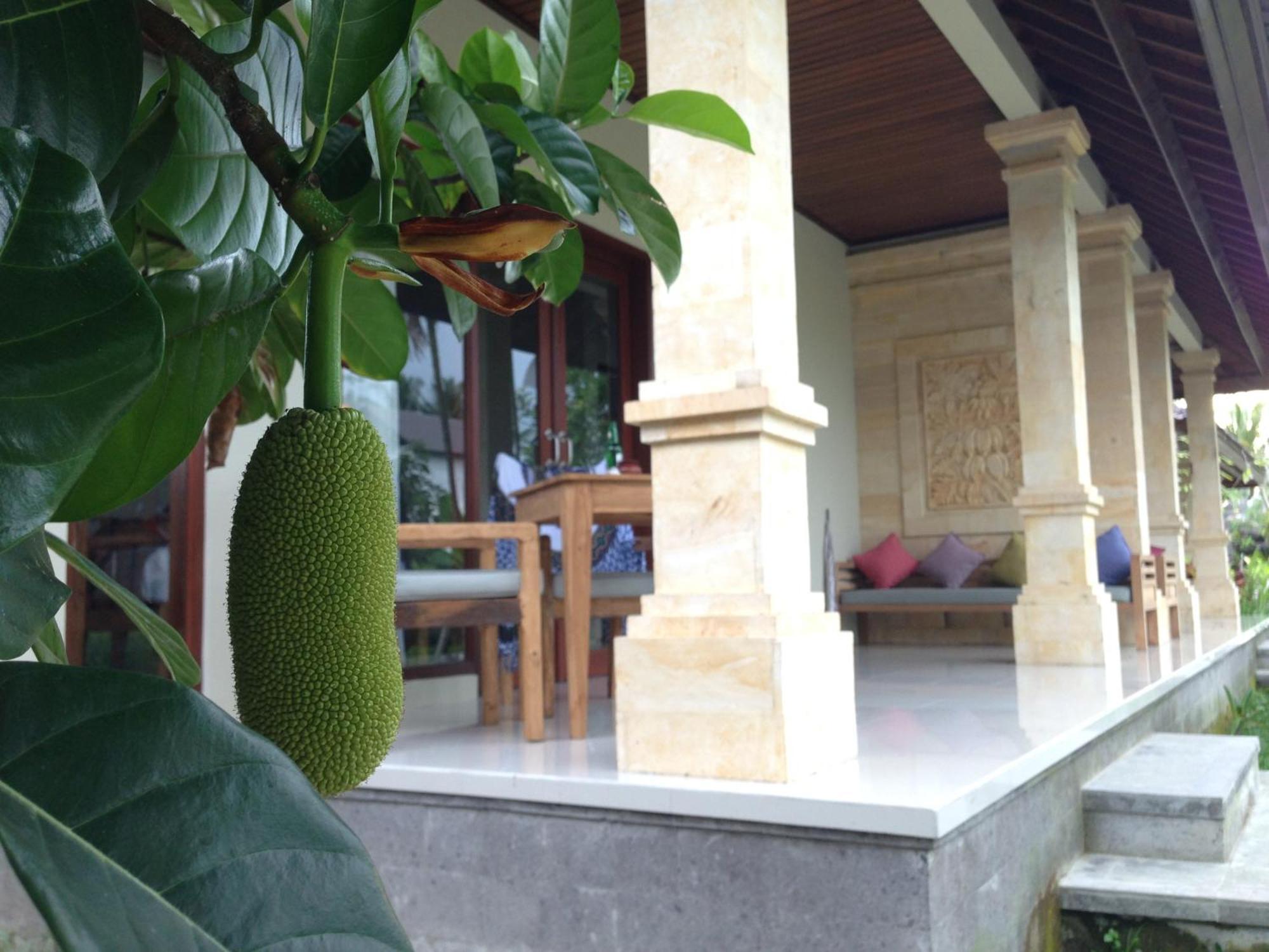 Masia Villa Ubud מראה חיצוני תמונה